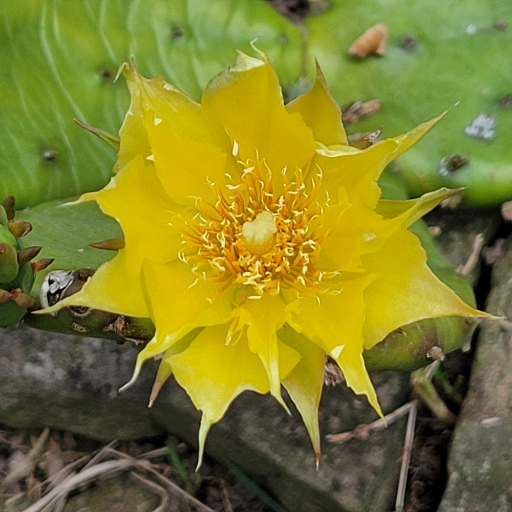 Meet your Posher, Darlene